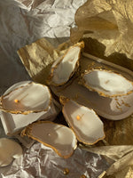 Candle "Shells"
